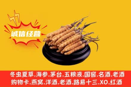 文昌回收冬虫夏草